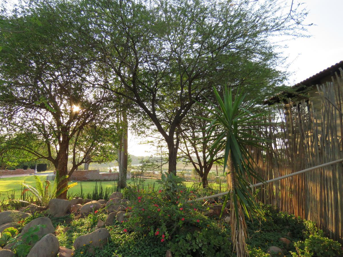 Kruger View Tree House Villa Marloth Park Ngoại thất bức ảnh