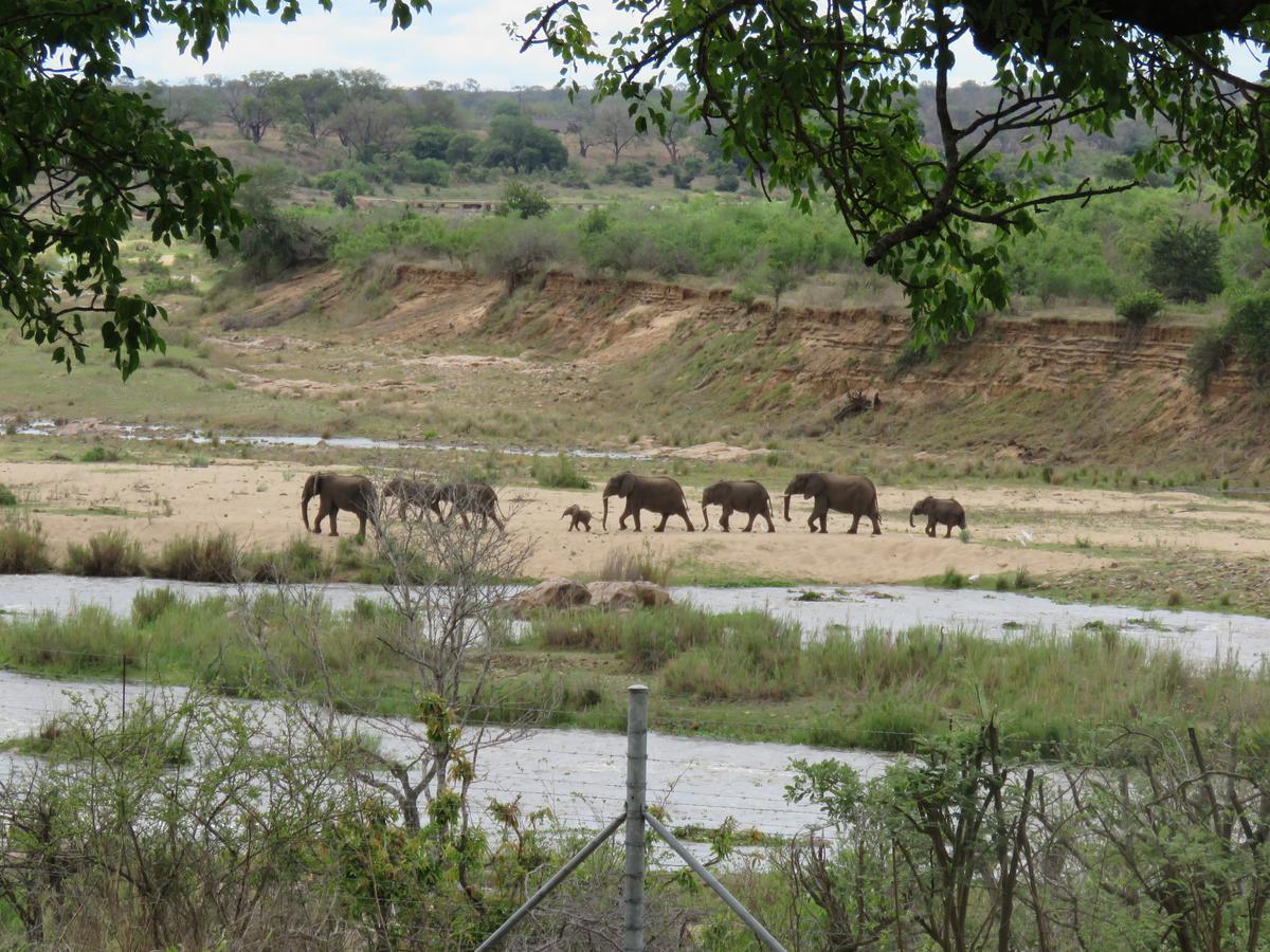Kruger View Tree House Villa Marloth Park Ngoại thất bức ảnh
