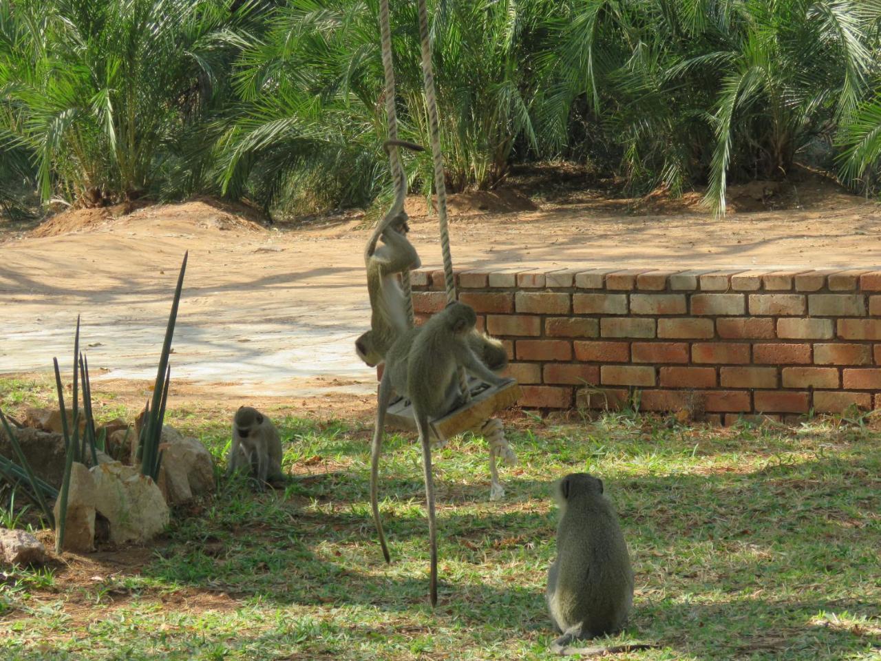 Kruger View Tree House Villa Marloth Park Ngoại thất bức ảnh